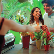 Solución Cliente Frecuente